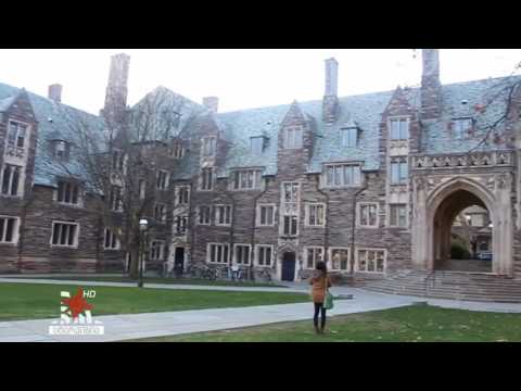 წარმატებული სტუდენტები სტარშოუში