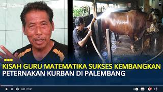 Kisah Guru yang Sukses Kembangkan Peternakan Kurban di Palembang, Dari 6 Sapi hingga Ratusan Ekor