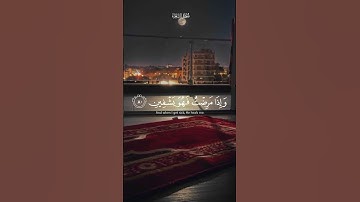 تلاوة تخطف القلوب للقارئ • إسلام صبحي 🌿🤍