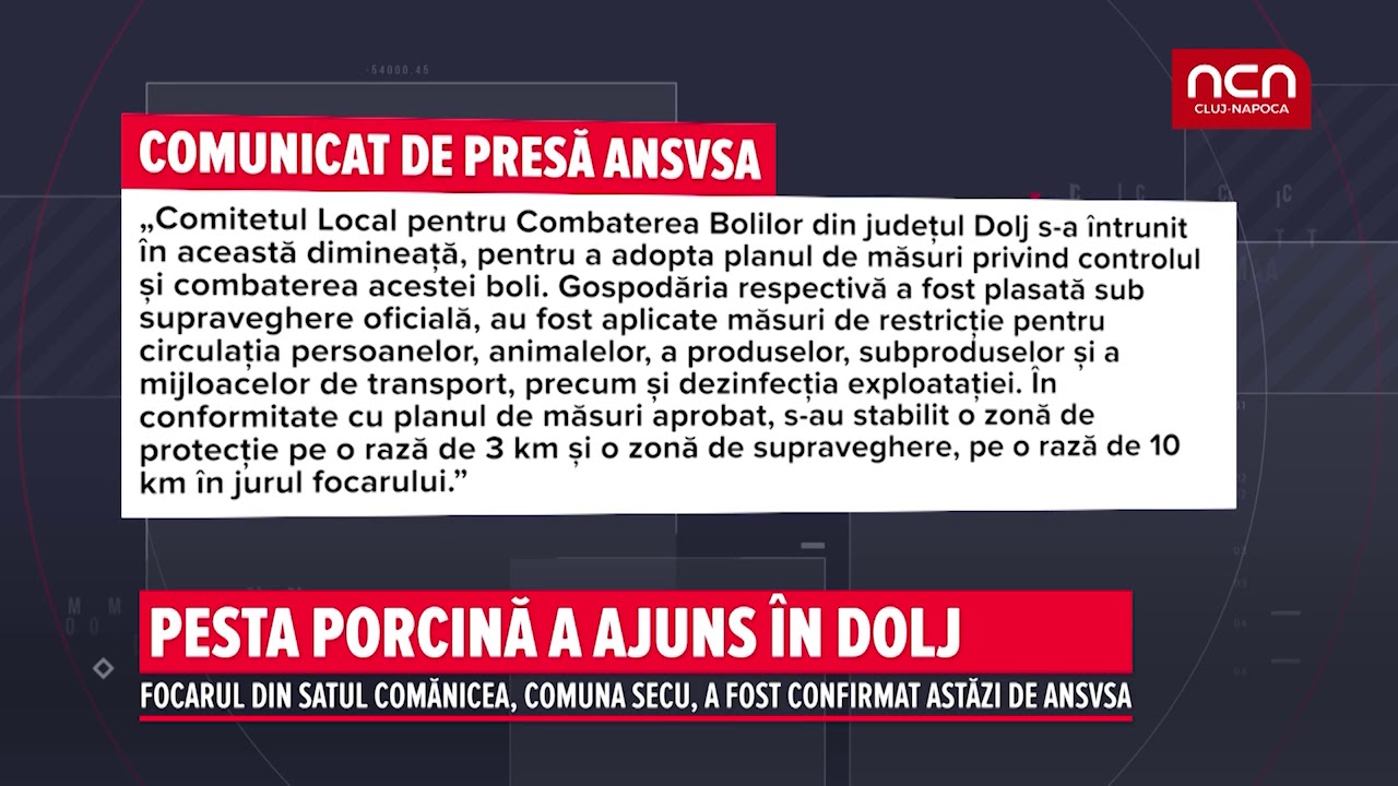 Pesta porcina a ajuns in Dolj stories we tell