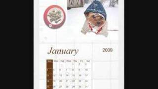 DP Calendar