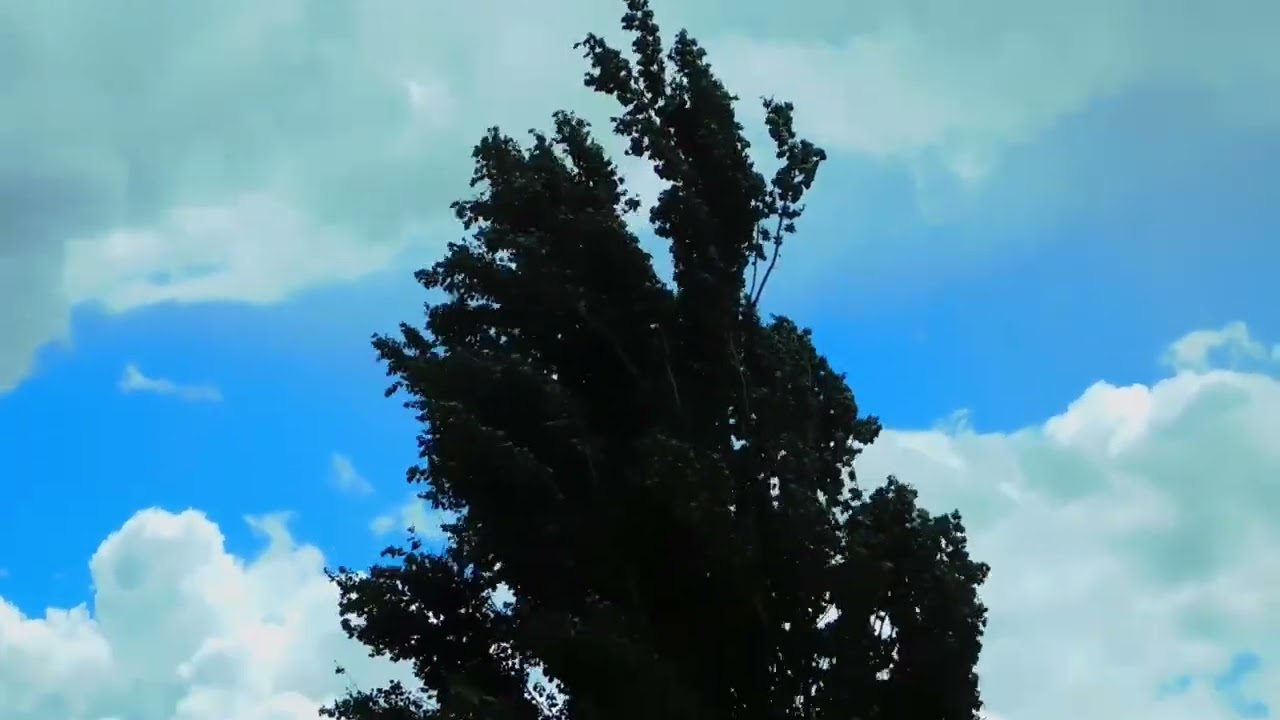 🌬 வாயு பகவான் தெய்வீக பாடல் | பஞ்சபூத சக்தி 