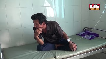 5 NGƯ DÂN ĂN CÁ NÓC BỊ NGỘ ĐỘC