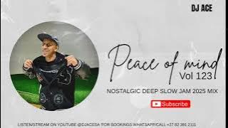 NOSTALGIC DEEP | SLOW JAM 2025 MIX | PEACE OF MIND VOL 123 | DJ Ace ♠️