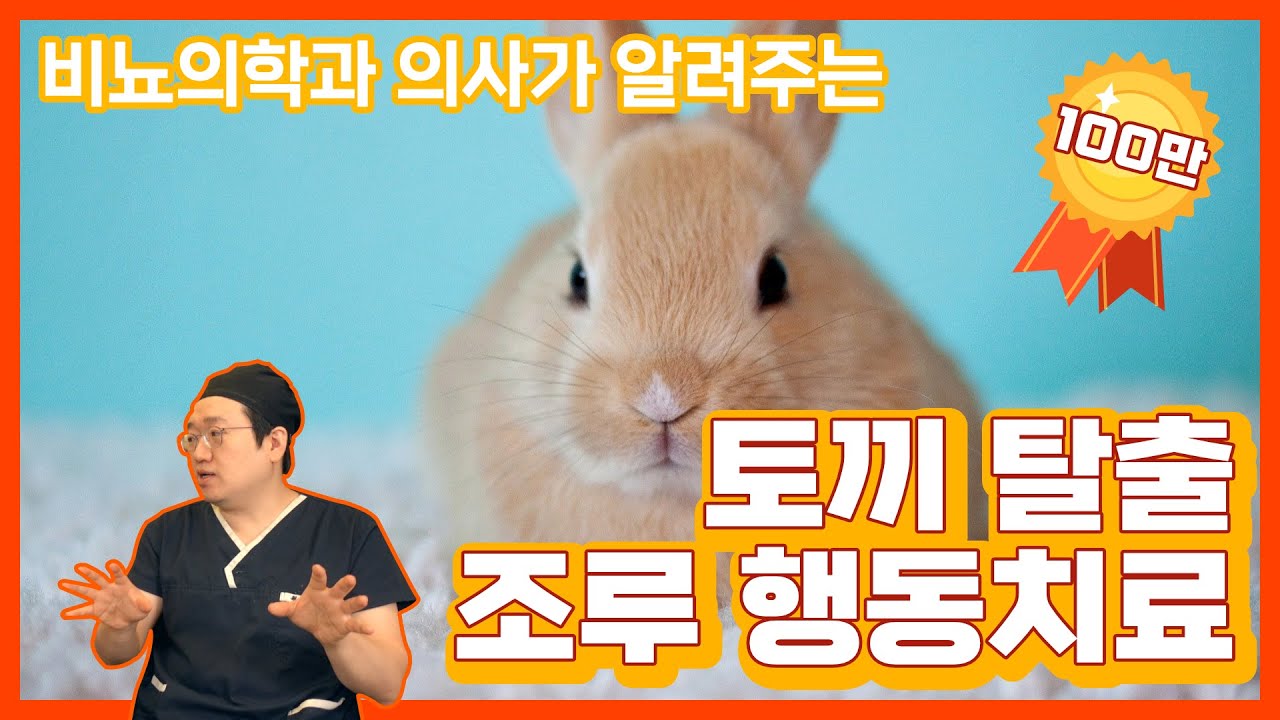 조루를 완화하는 3가지 방법, 확실히 시간을 늘려줄 것입니다