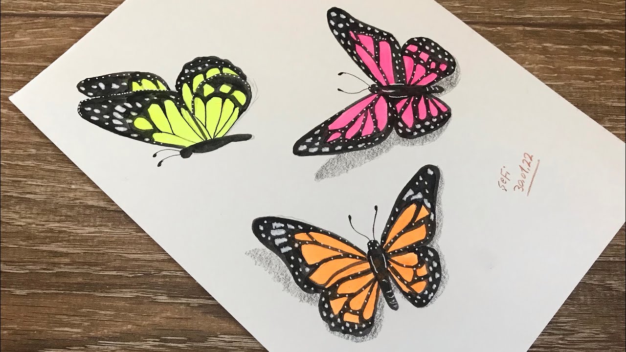 Step by step butterfly drawing | renkli çizimleri | kolay kelebek ...