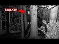 We Found a Stalker in the Woods..