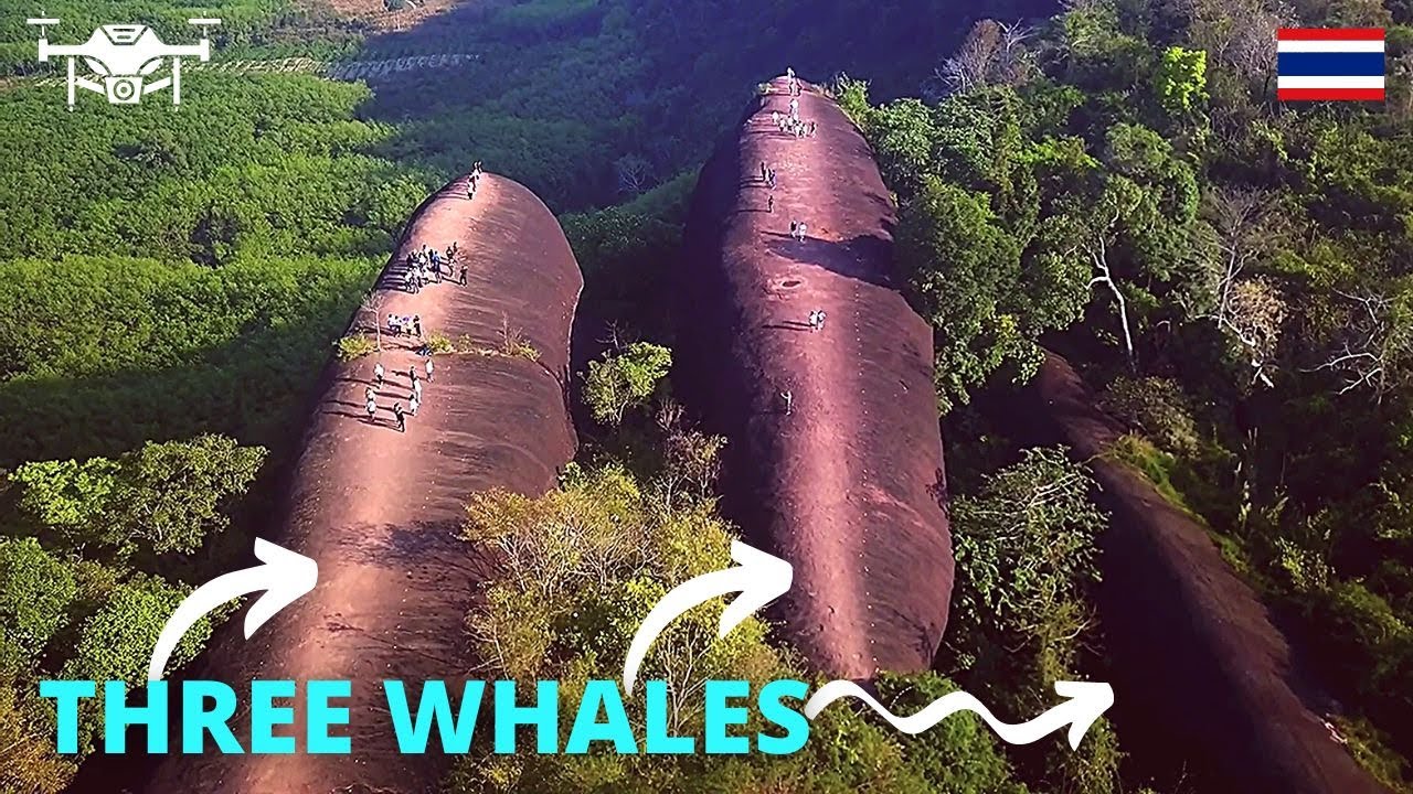 How YOUTUBERS get the Perfect DRONE Shots - YouTube