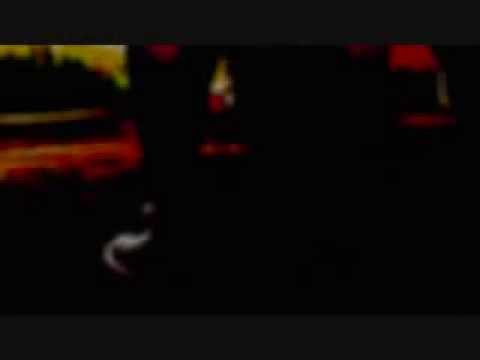 newshow.wmv