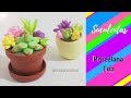 Como hacer Suculentas en porcelana fría ó pasta flexible / DIY miniature succulents cold porcelain