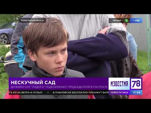 Нескучный сад