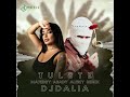 Tul8te Mateegy A3ady Aleiky Remix Dj Dalia Tul8te Mateegy A3ady Aleiky Remix Dj Dalia