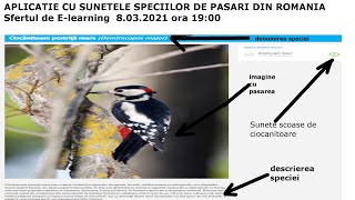 Aplicatie utila cu pasarile Romaniei (Sfertul de E-learning ep 24) screenshot 3