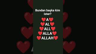 Allah Tekdir