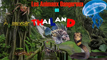 Quels animaux en Thaïlande ?