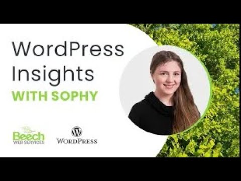 Using the Editor Toolbar | WordPress Insights with Sophy | Ep. 3