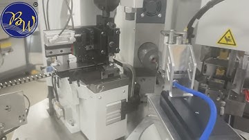 BZW-3.0 Automatic Ferrule Lug Terminal Double Heads Crimping Machine