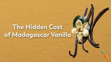 The Social Cost of Bourbon Vanilla Production | Bourbon Vanilla Madagascar | FoodUnfolded