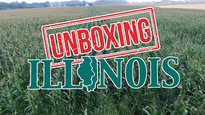 Unboxing Illinois: What It's Like Living In Illinois