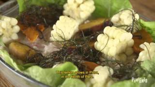 Watch The DNA of Ceviche Trailer
