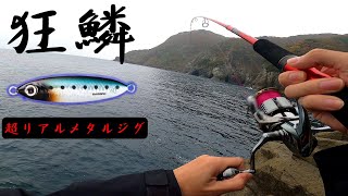 山陰の地磯でショアジギング！狂鱗カラーのジグであの魚が連発！