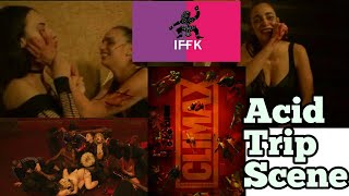 23rd iffk-Climax-Gasper Noe Movie-LSD Trip Scene