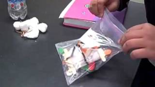 The Great Egg Drop Interview