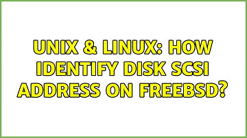 Unix & Linux: How identify disk scsi address on FreeBSD? (2 Solutions!!)