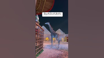 Thumbnail of Riyadh Saudi Arabia #cover #music #song #live #singer#explorepage #trending #viral l