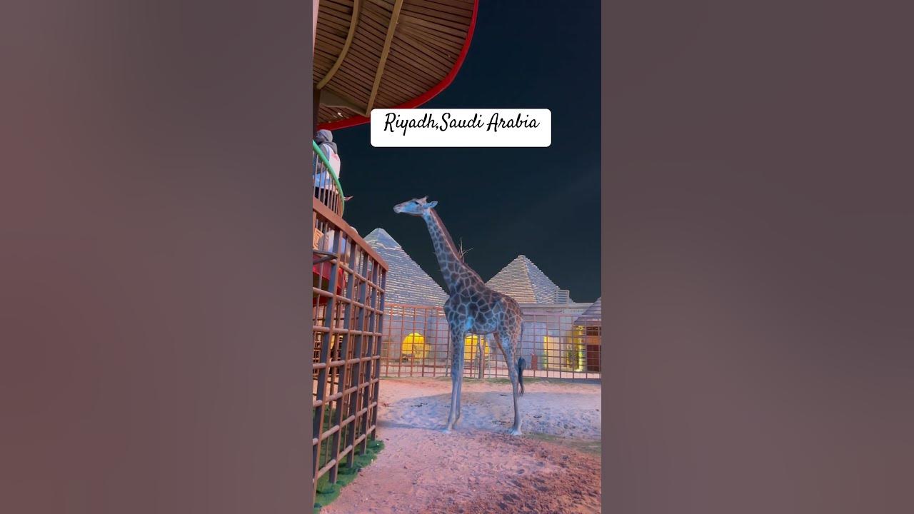 Riyadh Saudi Arabia #cover #music #song #live #singer#explorepage #trending #viral l