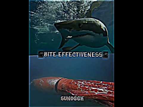 Great white Shark vs Giant Squid - YouTube