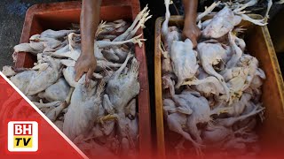 18 peniaga ayam di Terengganu dikompaun