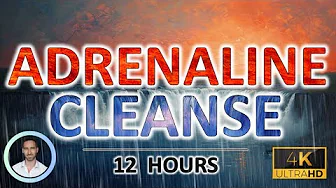 Adrenaline Cleanse: Deep Sleep Sound Therapy | Reduce Cortisol & Anxiety | 12-Hour Relaxation Adrenaline Cleanse: Deep Sleep Sound Therapy | Reduce Cortisol & Anxiety | 12-Hour Relaxation