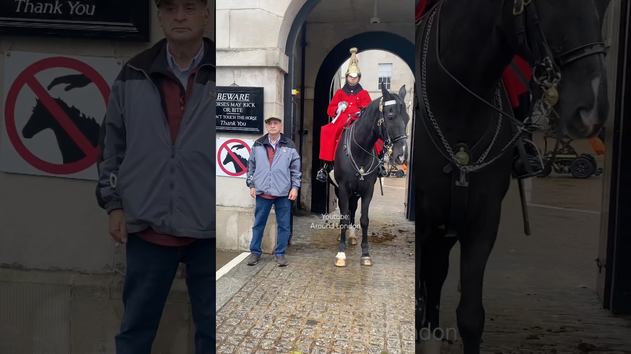 A Step Too Far: Tourists Ignore the Unspoken Boundaries 