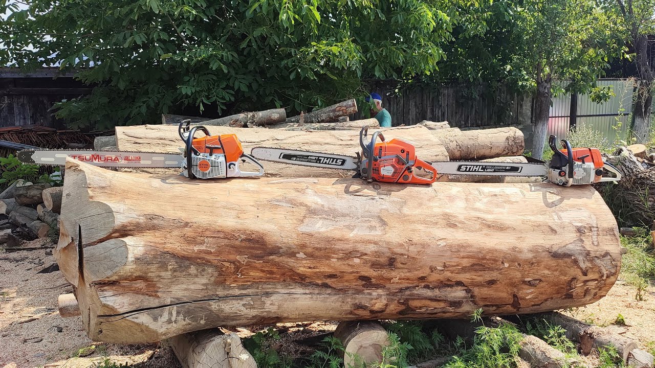 Cutting big wood with Stihl 064, MS 651 and Husqvarna 592xp !!! YouTube
