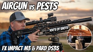 FX Impact M3 Air Rifle Hunting || Rabbits, Pigeons, Indian Myna's + Bonus Feral Cat by EDGE of the OUTBACK 279,289 views 9 months ago 15 minutes