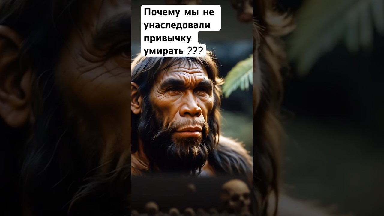 Почему мы не унаследовали привычку умирать ?