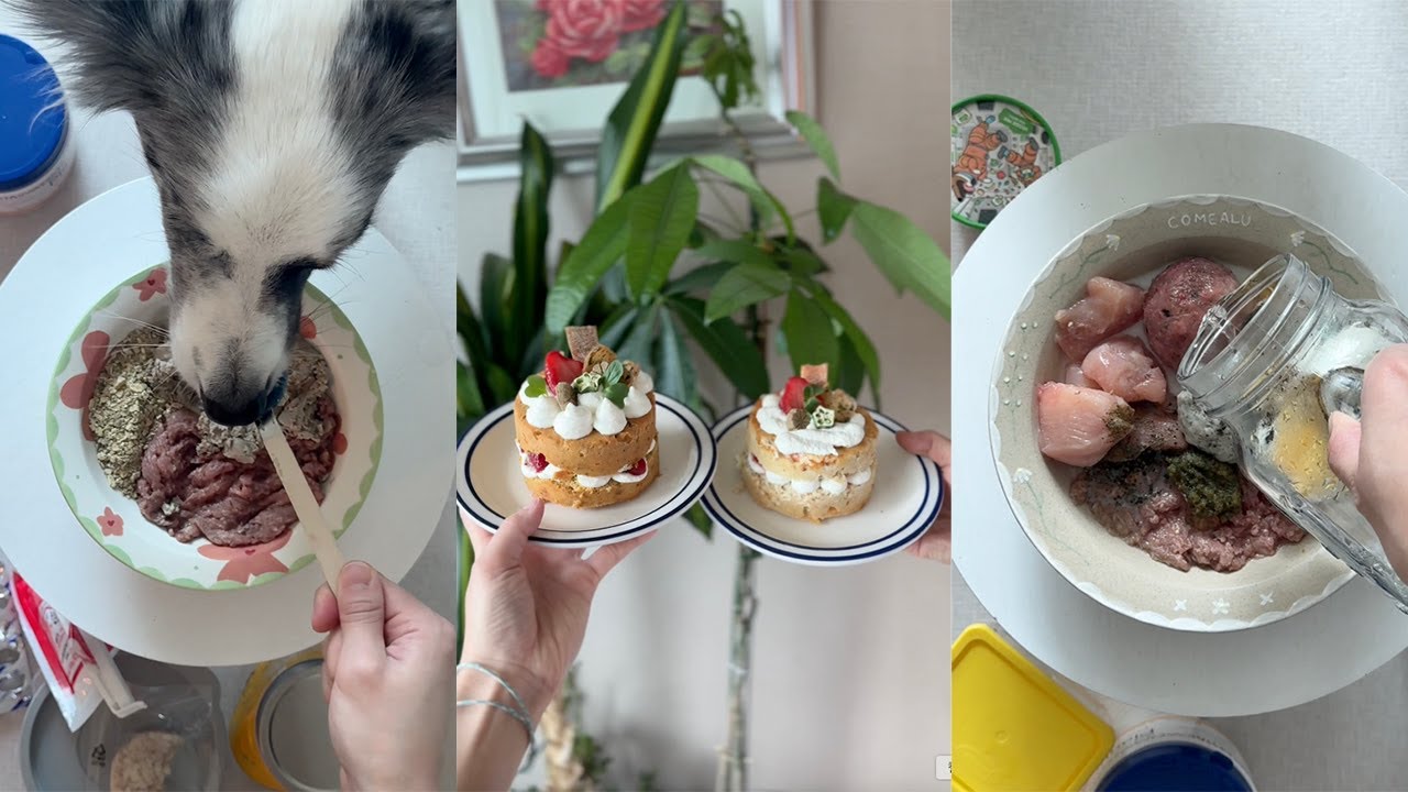 개린이날 기념 케이크 만들어주기, 달루카 밥차리기 만들기 모음 집 / 달이밥도 있어요