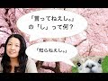 The One Who Uses Wrong Grammar is Not You, Japanese People!  - 間違ってるのはあなたじゃなくて日本人！