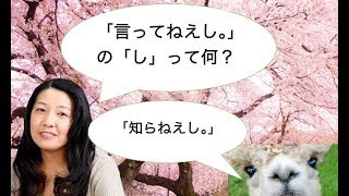 The One Who Uses Wrong Grammar is Not You, Japanese People!  - 間違ってるのはあなたじゃなくて日本人！