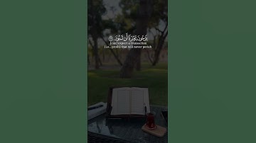 سعد الغامدي سورة فاطر Saad Al Ghamidi Surah Fatir
