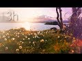 Calm piano music  soothing music meditation sleep relaxing music n143  3h