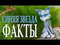 История Синей Звезды. Интересные факты о ней. КОТЫ ВОИТЕЛИ.