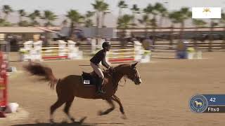 Rumpleteazer DF & Hannah Selleck - 1.20m Jumpers at National Sunshine Series I Wealth
