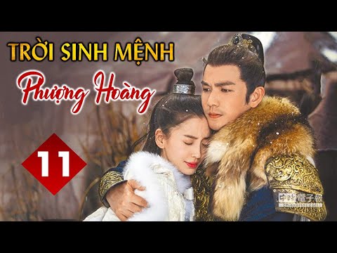 TRỜI SINH MỆNH PHƯỢNG HOÀNG Tập 11 – Phim cổ trang Trung Quốc chuyển thể cực hấp dẫn (Thuyết Minh)