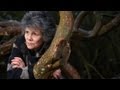 I Was Raised By Monkeys Honest Marina Chapman Interview I Was Raised By Monkeys Honest Marina Chapman Interview