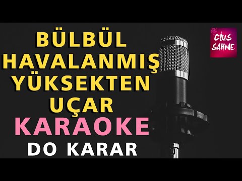 Bülbül Havalanmış Yüksekten Uçar Karaoke Altyapı Türküler | Do