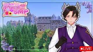 Practice Makes Perfect Princess Smp Live
