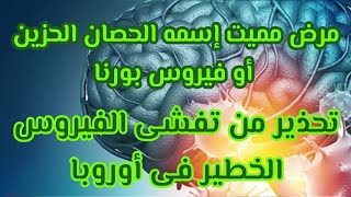 مرض جديد مميت إسمه الحصان الحزين أو فيروس بورنا,تحذير من تفشى الفيروس الخطير فى أوروبا@user-js3wn3ng5c