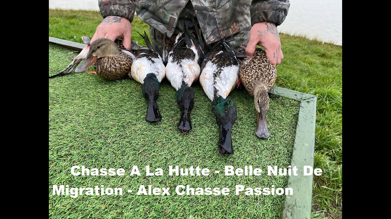 TÉLÉCHARGER CHASSE A LA HUTTE ET AU GABION VOLUME 3 ET HUTTE AU VOLUME LA CHASSE GABION TÉLÉCHARGER 3 A